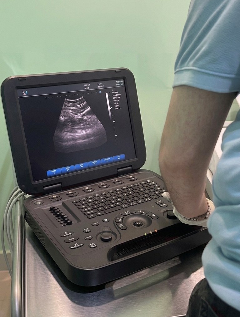 Diagnostic Ultrasound Technology